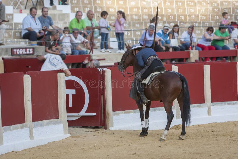 Alvaro Montes, bullfighter on horseback spanish witch garrocha ( royalty free stock photo Alvaro Montes, bullfighter on horseback spanish witch garrocha ( royalty free stock photo