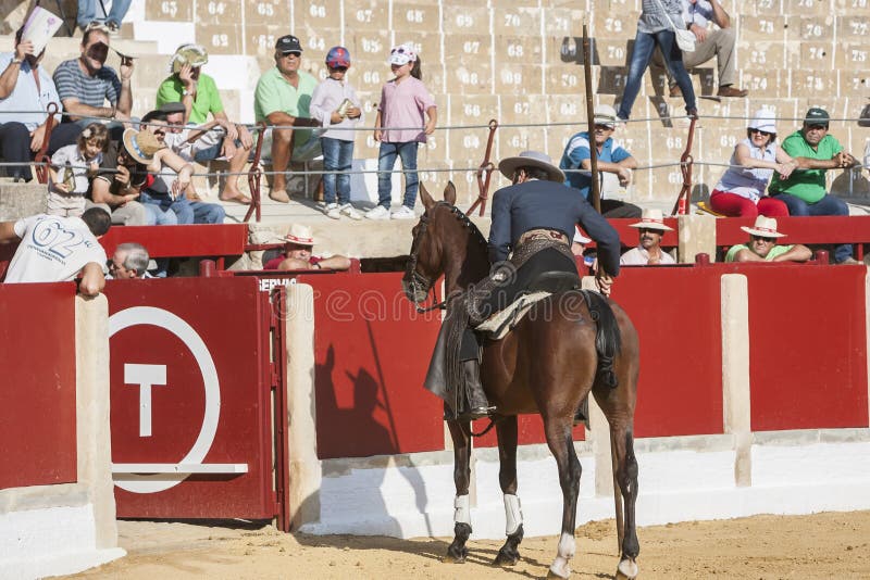 Alvaro Montes, spanisches garrocha Hexe des Stierkämpfers zu Pferd ( stockfoto Alvaro Montes, spanisches garrocha Hexe des Stierkämpfers zu Pferd ( stockfoto