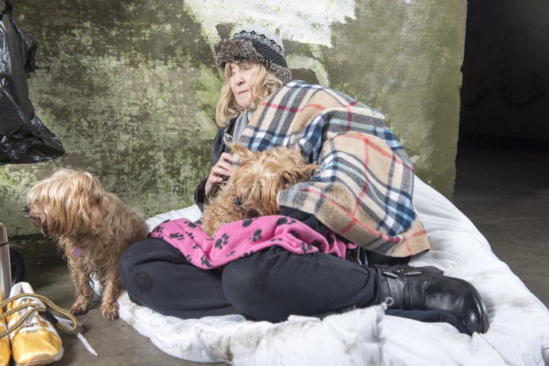 Amadureça a mulher desabrigada que implora fora com dois cães fotografia de stock Amadureça a mulher desabrigada que implora fora com dois cães fotografia de stock