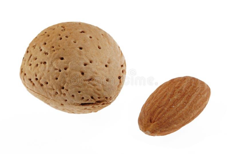 Amandel geïsoleerd op wit stock fotografie