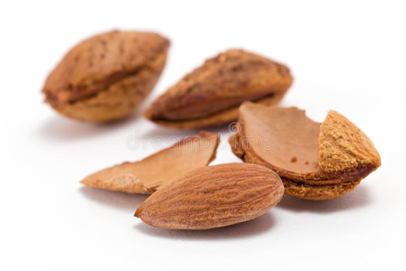 Amandel op wit wordt geïsoleerd dat stock fotografie