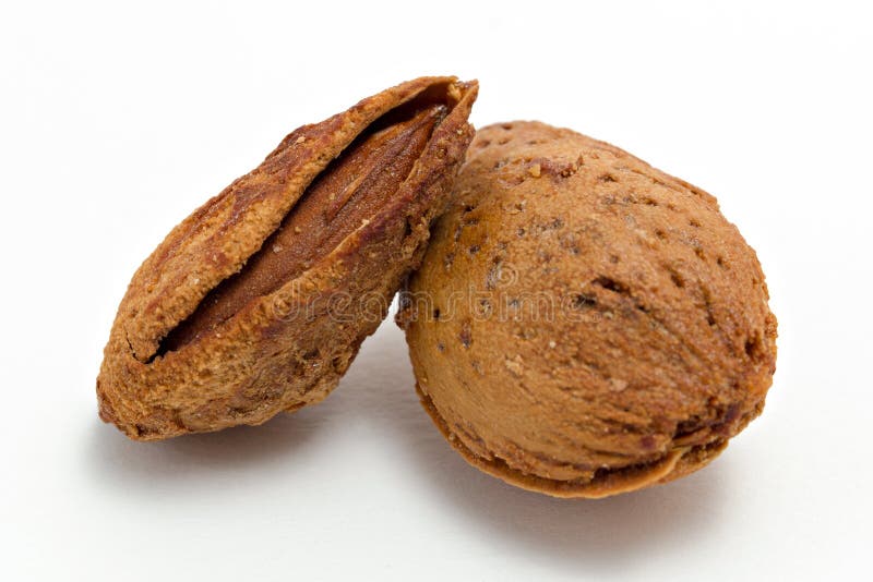 Amandel op wit wordt geïsoleerd dat stock afbeelding