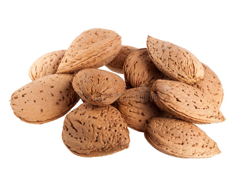 Amandelen die op wit worden geïsoleerdo stock fotografie