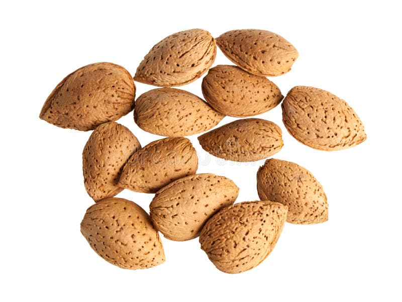 Amandelen die op wit worden geïsoleerdo stock fotografie