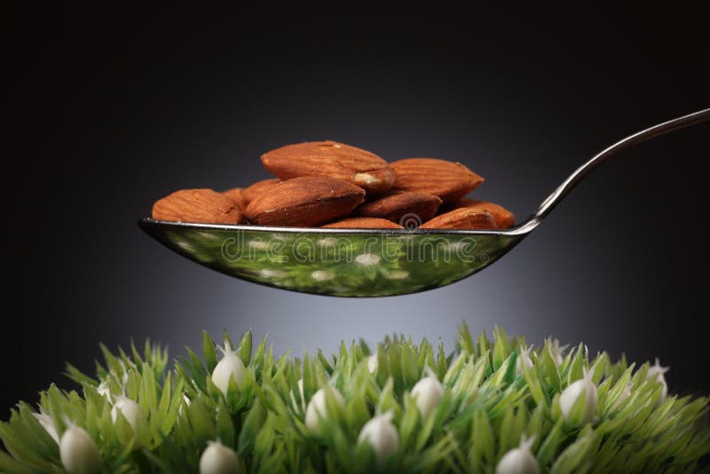 Amandes photos libres de droits Amandes photos libres de droits