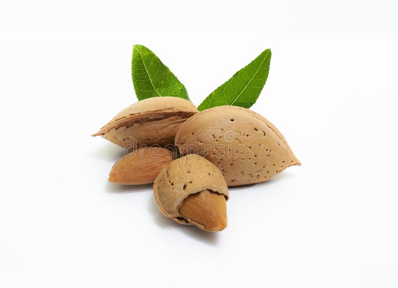 Amandes images stock Amandes images stock