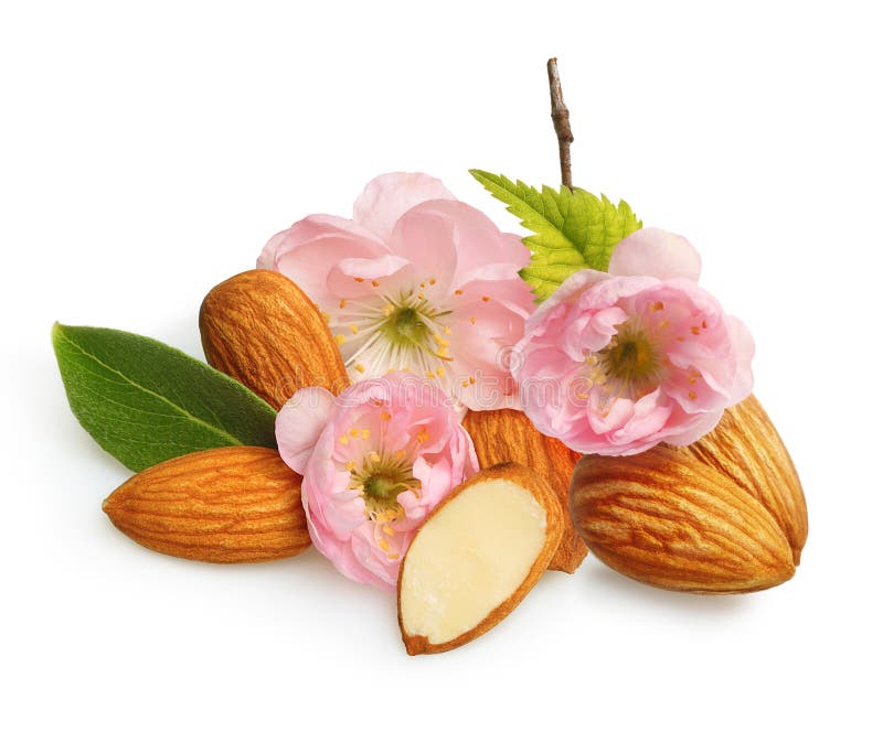 Amandes nuts avec la fleur d'isolement image libre de droits Amandes nuts avec la fleur d'isolement image libre de droits