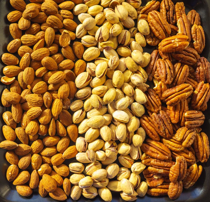 Amandes, pistaches et noix de pécan Nuts, plan rapproché, ensemble illustration de vecteur