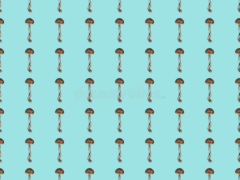 Amanita Βοτανικό άνευ ραφής σχέδιο με τα κόκκινα μανιτάρια Φυσικό χέρι στοιχείων που χρωματίζεται με τα μολύβια χρώματος floral ελεύθερη απεικόνιση δικαιώματος Amanita Βοτανικό άνευ ραφής σχέδιο με τα κόκκινα μανιτάρια Φυσικό χέρι στοιχείων που χρωματίζεται με τα μολύβια χρώματος floral ελεύθερη απεικόνιση δικαιώματος