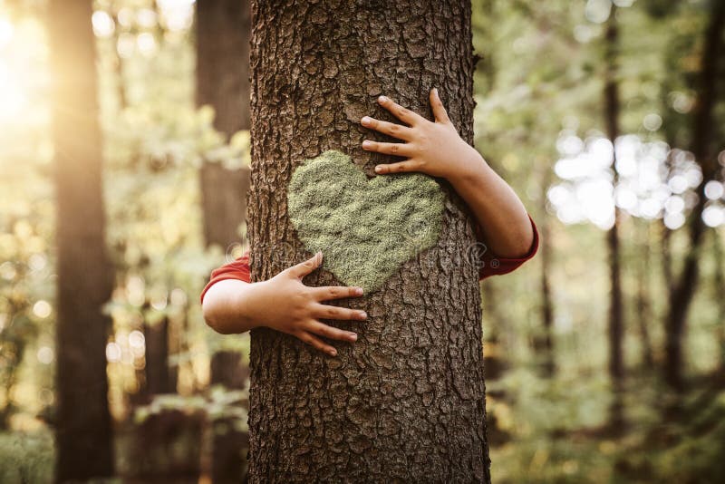 Amante da natureza fecha as mãos infantis abraçando uma árvore