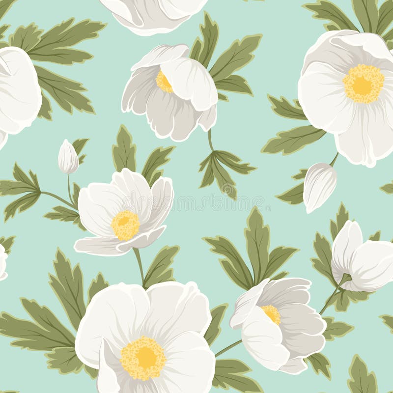 Amarelo branco da rosa do Natal da anêmona do Hellebore ilustração royalty free Amarelo branco da rosa do Natal da anêmona do Hellebore ilustração royalty free
