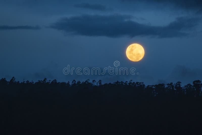 AmasonRainforestfullmåne, Ecuador arkivfoto AmasonRainforestfullmåne, Ecuador arkivfoto