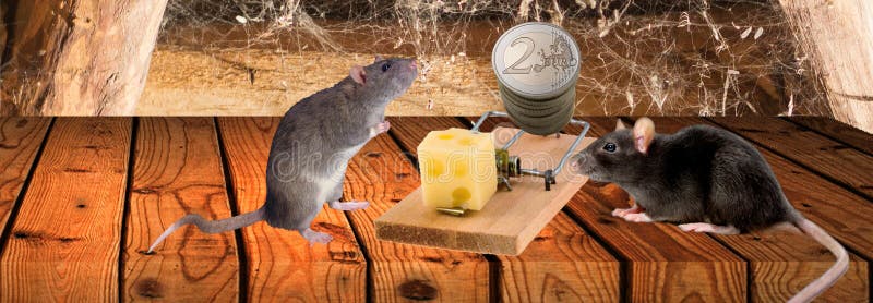 https://thumbs.dreamstime.com/b/amazed-mouses-formal-wont-to-take-cheese-money-big-mousetrap-over-light-night-city-background-free-cheese-134685629.jpg