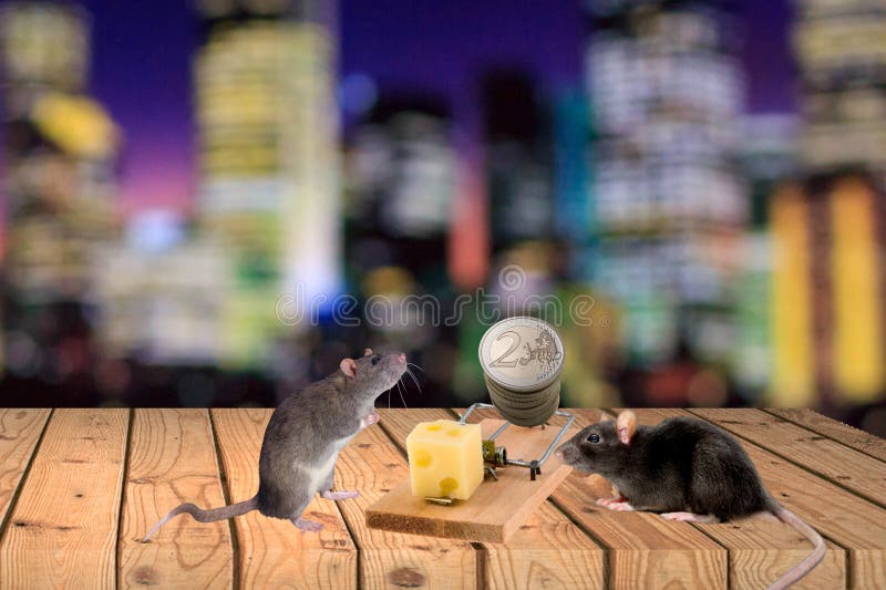 https://thumbs.dreamstime.com/b/amazed-mouses-formal-wont-to-take-cheese-money-big-mousetrap-over-light-night-city-background-free-cheese-134997228.jpg