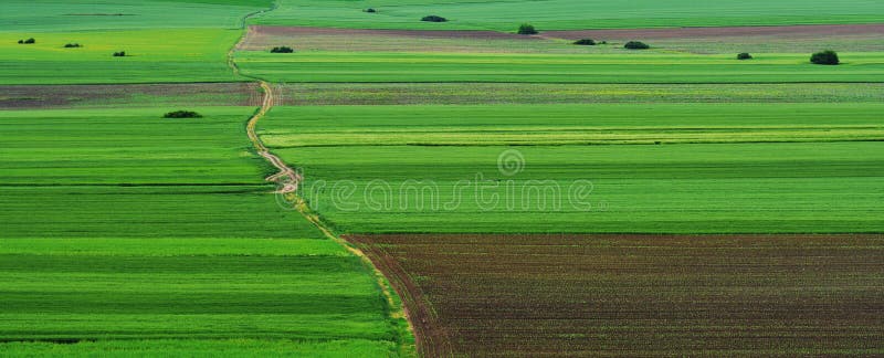 Amazing agriculture landscape in Macin mountains
