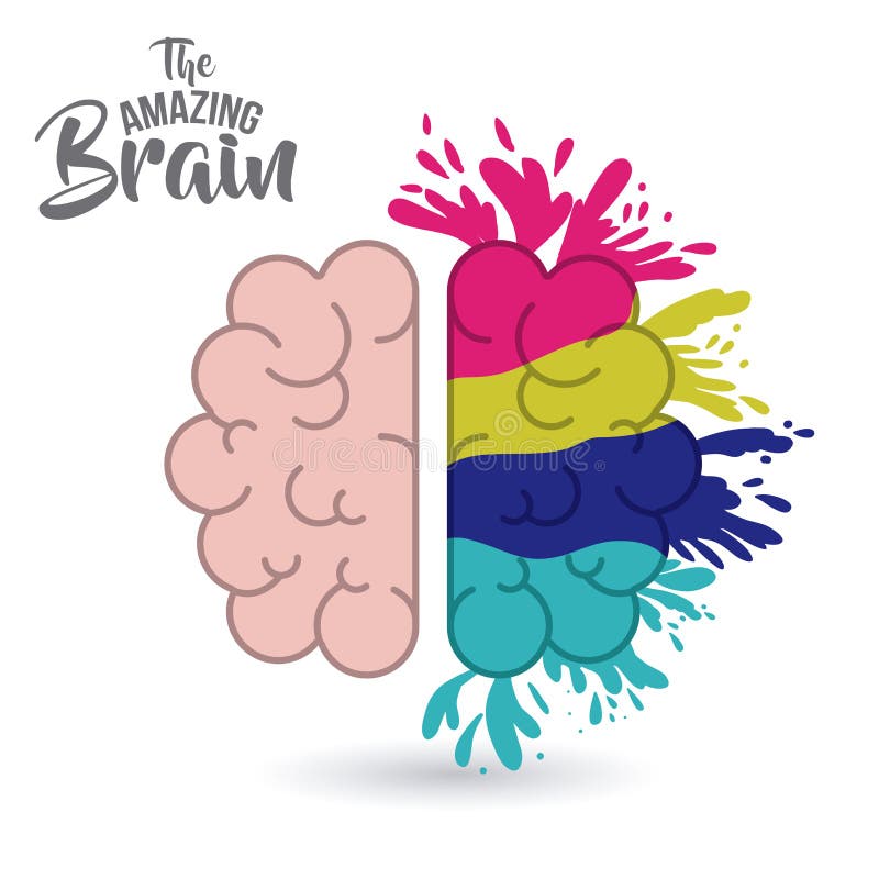 Amazing brain. Рисунки цветные. Very cool! Стоковые рисунки.