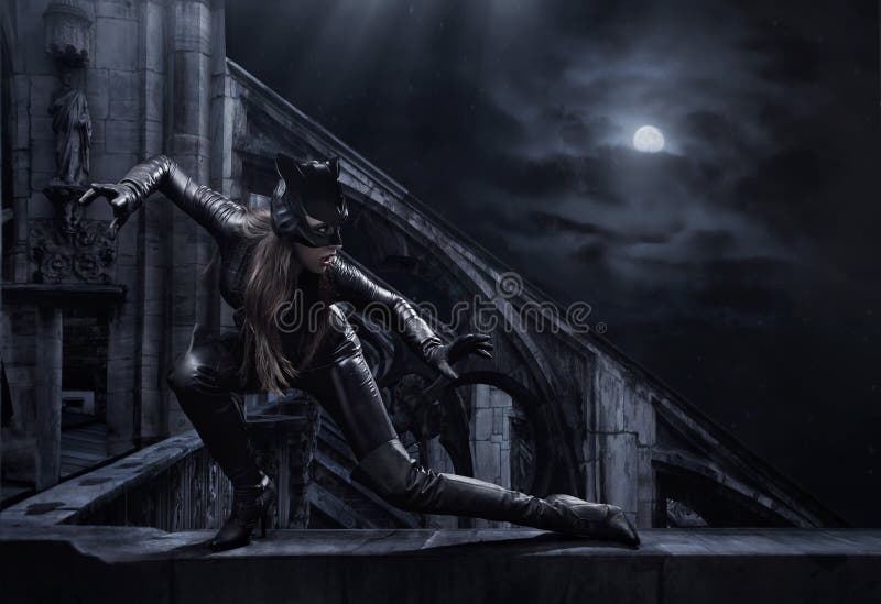 Amazing catwoman royalty free stock photography Amazing catwoman royalty free stock photography