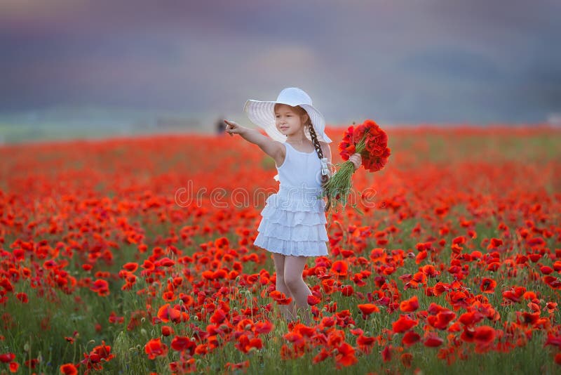 Amazing close up portrait of lovely cute young romantic girl with poppy flower in hand posing on field background. Wearing straw. Hat or bouquet of flowers royalty free stock images Amazing close up portrait of lovely cute young romantic girl with poppy flower in hand posing on field background. Wearing straw. Hat or bouquet of flowers royalty free stock images