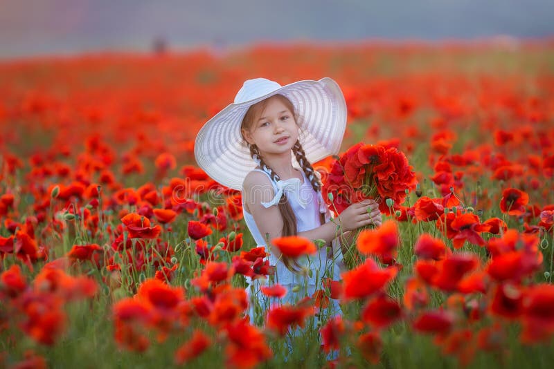 Amazing close up portrait of lovely cute young romantic girl with poppy flower in hand posing on field background. Wearing straw. Hat or bouquet of flowers royalty free stock image Amazing close up portrait of lovely cute young romantic girl with poppy flower in hand posing on field background. Wearing straw. Hat or bouquet of flowers royalty free stock image