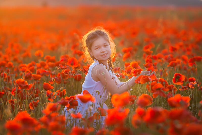 Amazing close up portrait of lovely cute young romantic girl with poppy flower in hand posing on field background. Wearing straw. Hat or bouquet of flowers royalty free stock photos Amazing close up portrait of lovely cute young romantic girl with poppy flower in hand posing on field background. Wearing straw. Hat or bouquet of flowers royalty free stock photos