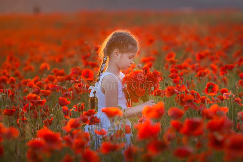 Amazing close up portrait of lovely cute young romantic girl with poppy flower in hand posing on field background. Wearing straw. Hat or bouquet of flowers royalty free stock images Amazing close up portrait of lovely cute young romantic girl with poppy flower in hand posing on field background. Wearing straw. Hat or bouquet of flowers royalty free stock images