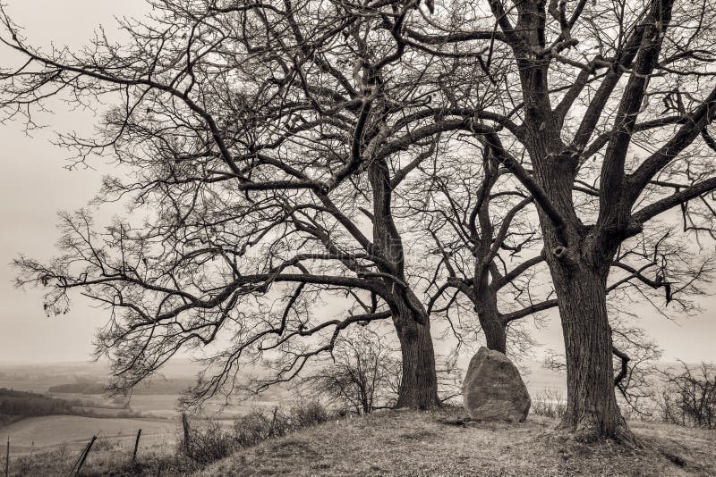 Amazing December Landscape