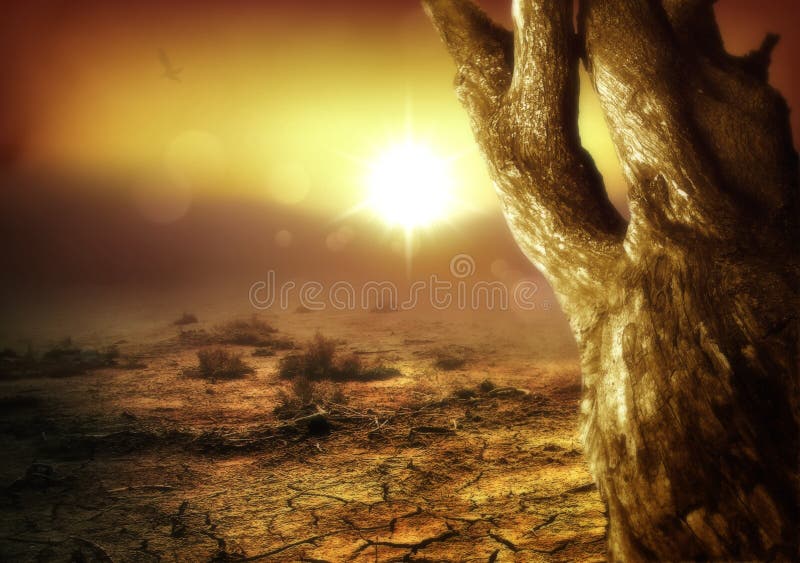 Amazing Desert Scene