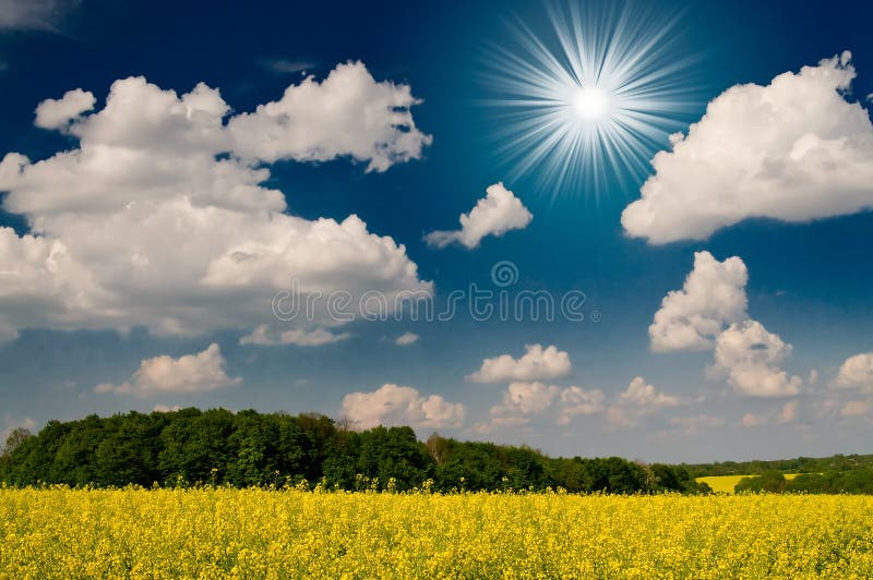 Amazing image sun,field and blue sky.