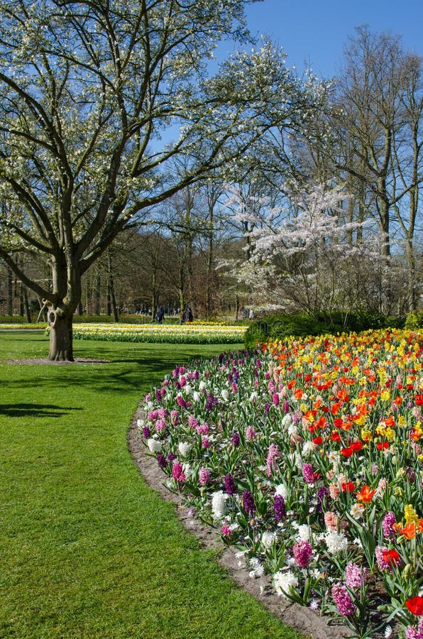 Amazing landscape with colorful flower beds and flower patterns royalty free stock photography Amazing landscape with colorful flower beds and flower patterns royalty free stock photography