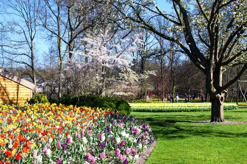 Amazing landscape with colorful flower beds and flower patterns in the park Keukenhof, Holland, Europe stock photography Amazing landscape with colorful flower beds and flower patterns in the park Keukenhof, Holland, Europe stock photography