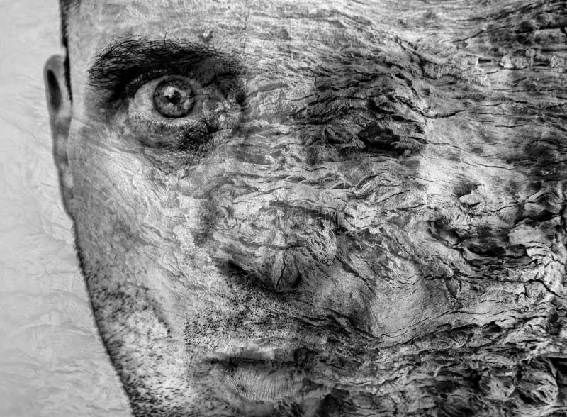 Amazing metamorphosis of man becoming tree, graphic art, beautiful and unique tree bark texture on human face