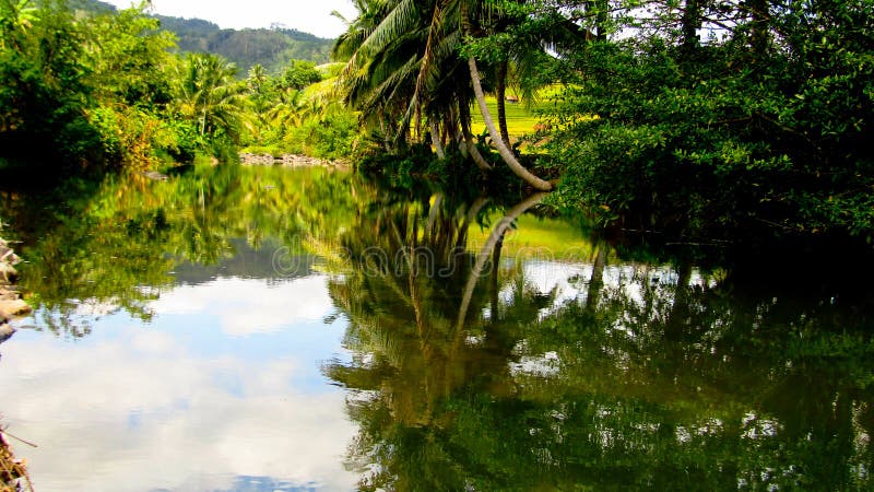 A river in Dusun Kosambi, Distrik Karangjaya - Tasikmalaya West Java, water in river is very clear. A river in Dusun Kosambi, Distrik Karangjaya - Tasikmalaya West Java, water in river is very clear