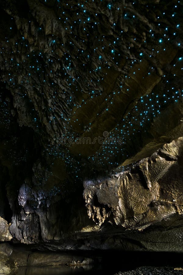 Amazing New Zealand Tourist attraction glowworm luminous worms in caves. High ISO Photo