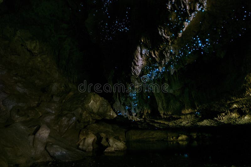 Amazing New Zealand Tourist attraction glowworm luminous worms i