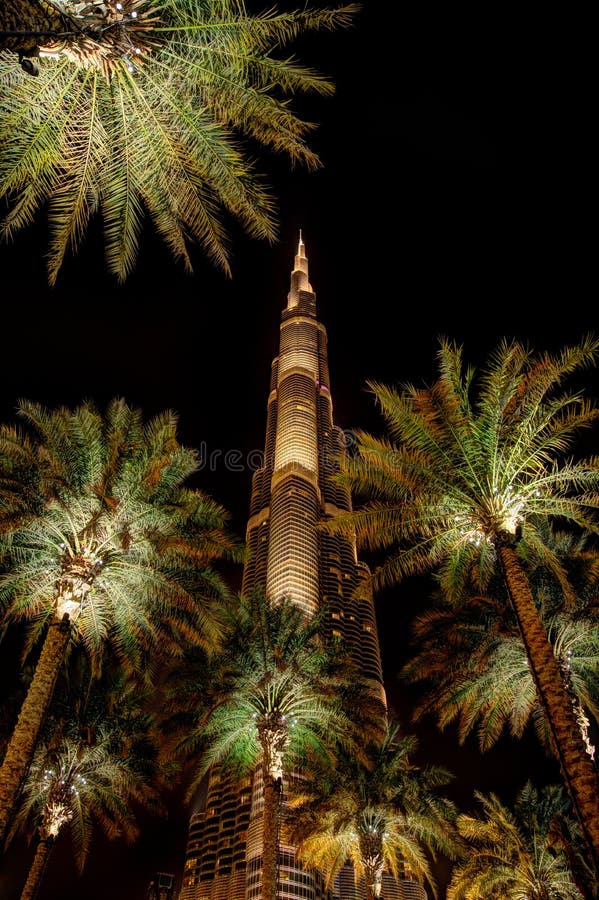 Amazing night view on Dubai futuristic skyline, United Arab Emirates stock image Amazing night view on Dubai futuristic skyline, United Arab Emirates stock image