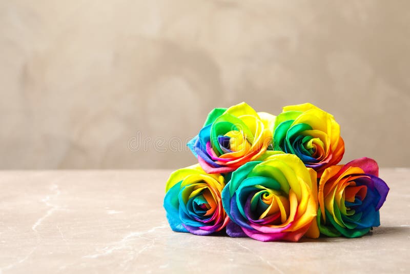 Amazing Rainbow Rose Flowers Stock Photo Image of flower, festive