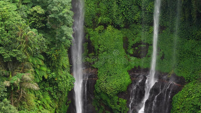 Amazing Sekumpul waterfall, Bali. Slow motion video. Flowing camera with tropical plants foreground.