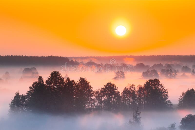 Amazing Sunrise Over Misty Landscape. Scenic View Of Foggy Morning Sky With Rising Sun Above Misty Forest And River