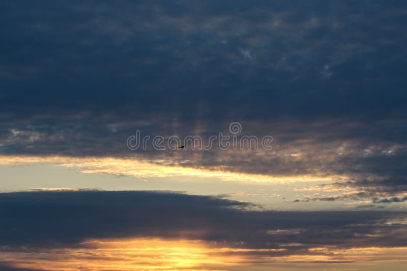 Amazing Sunset in Cloudy Days. Stock Photo Image of gbirds, flying 190512134