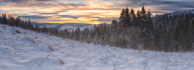 Amazing sunset mountain panoramic view, nature winter landscape with fir trees, snow, and colorful sky with clouds, outdoor travel background suitable for wallpaper or cover, Carpathian mountains. Amazing sunset mountain panoramic view, nature winter landscape with fir trees, snow, and colorful sky with clouds, outdoor travel background suitable for wallpaper or cover, Carpathian mountains