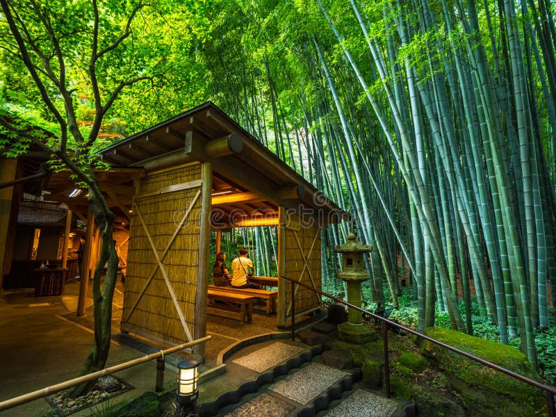 Amazing Tea house in a Japanese Bamboo Forest - travel photography - TOKYO, JAPAN - JUNE 17, 2018. Amazing Tea house in a Japanese Bamboo Forest - travel photography - TOKYO, JAPAN - JUNE 17, 2018