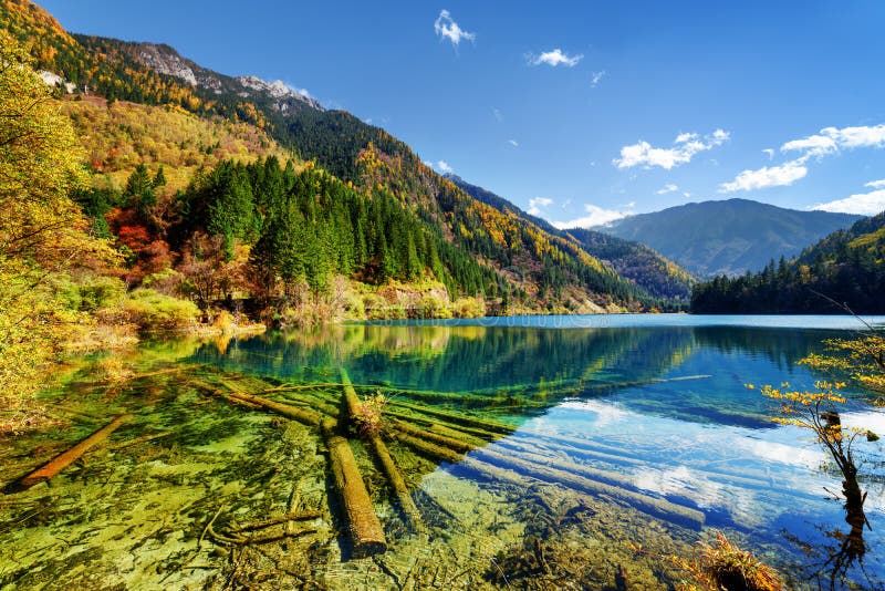 The Nuo Ri Lang Waterfall Nuorilang Among Fall Forest Stock Photo