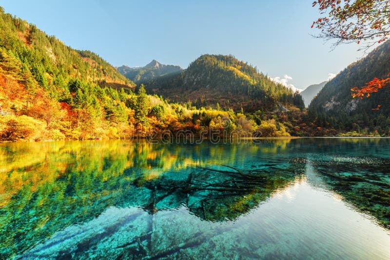 186 Five Flower Lake Jiuzhaigou Valley Photos Free And Royalty Free