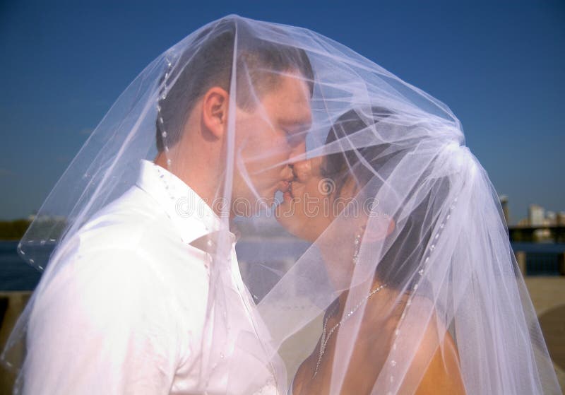 Amazing wedding couple under veil in love stock photo Amazing wedding couple under veil in love stock photo