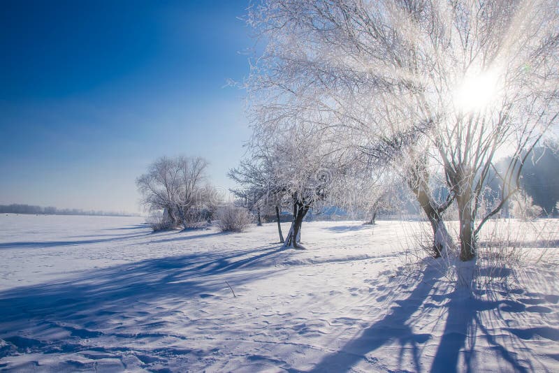 3,897,341 Winter Background Stock Photos - Free & Royalty-Free Stock Photos  from Dreamstime