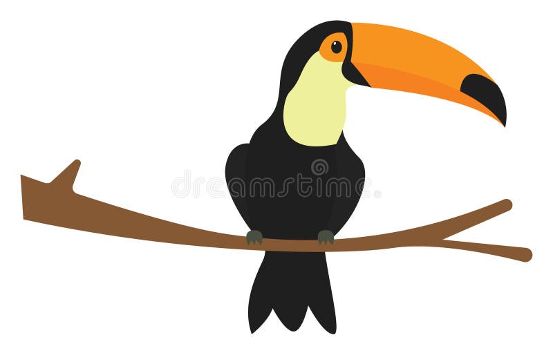 Amazon bird on tree, illustration, vector stock illustration