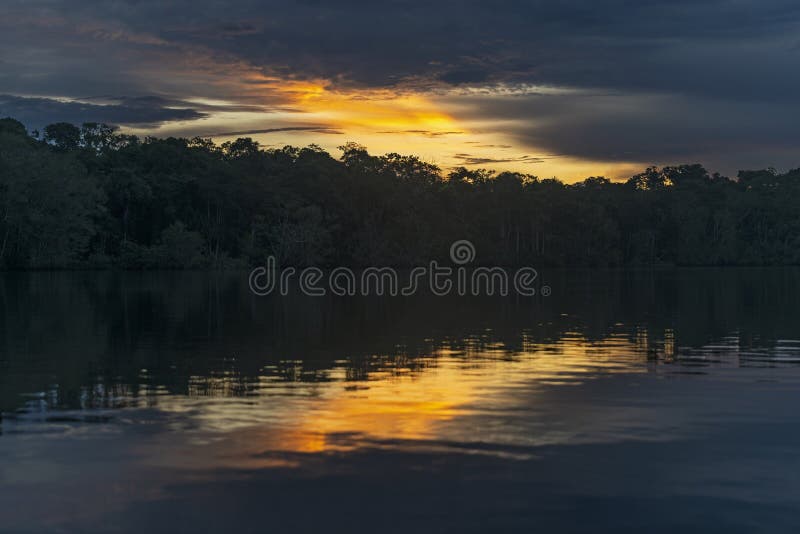 Amazon Rainforest Sunset Reflection Stock Image - Image of amazon