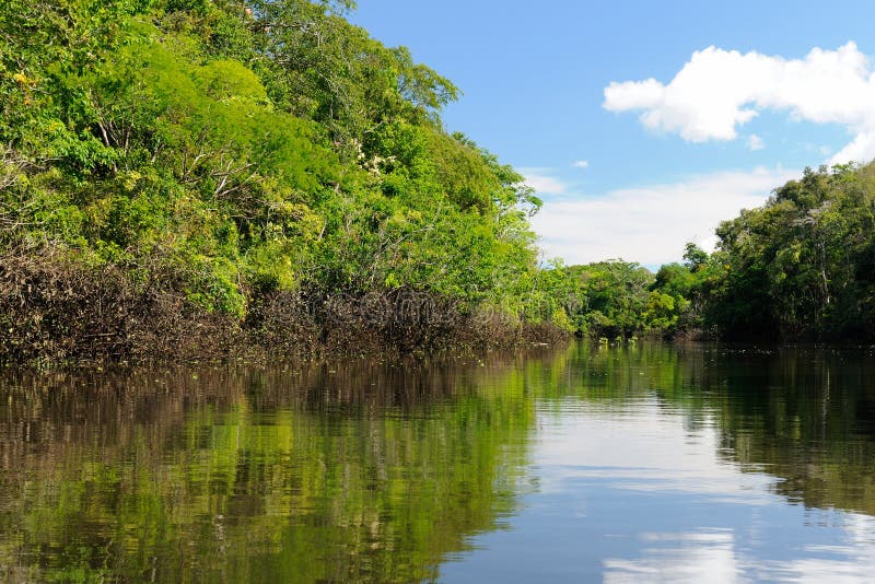 Amazon River Landscape In Colombia Stock Photo Image 42850291
