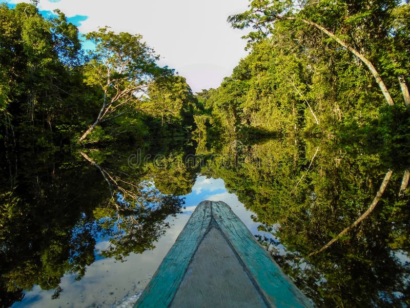 Amazon river royalty free stock photography