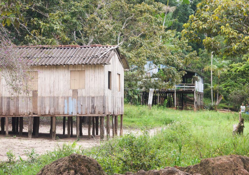 Amazon village stock photo. Image of trees, wooden, green 72513018